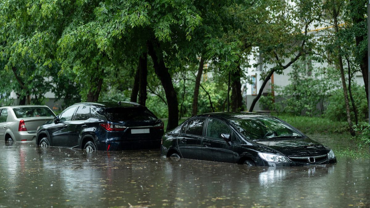 Does Automotive Insurance coverage Duvet Herbal Failures?